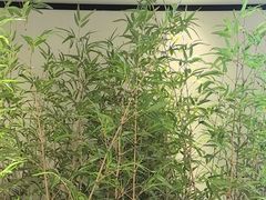 -同湘会馆(粤垦路店)