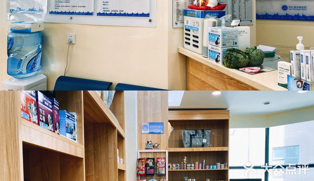 体验|猫咪打疫苗—丢脸丢到姥姥家🐈👵🏻