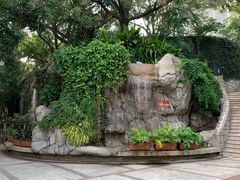 -九龙公园