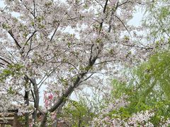 -南汇桃花村