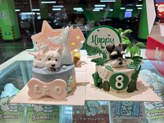 -FAELING PETS美天灵宠物(合生汇店)