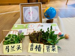 -硅谷蒙学幼儿园