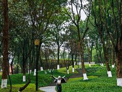 -重庆市江北嘴中央商务区中央公园