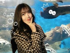 -泉州海丝野生动物世界