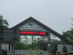-中国大熊猫保护研究中心雅安碧峰峡基地