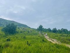 -灵山