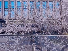 -陆家嘴世纪金融广场