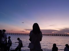 -宝安西湾红树林湿地公园