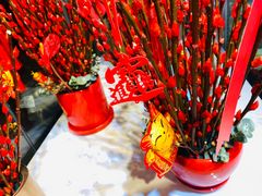 -花未央花店·WEYOUNG