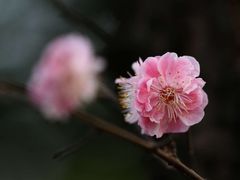 -白鹭湾湿地公园