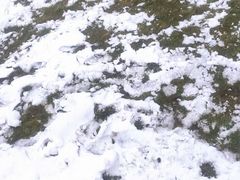 -西岭雪山大飞水景区