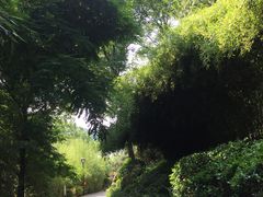 -竹子庵公园