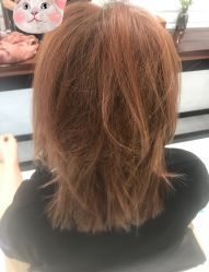 -程Studio