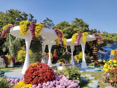 -上海共青森林公园