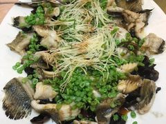 -玛宝鲜海鲜酒家