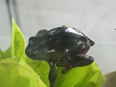 -洛阳龙门海洋馆