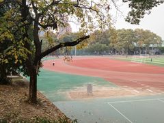 -武汉大学风雨操场