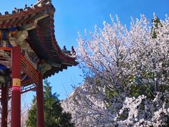 -北京凤凰岭