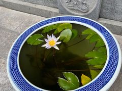 -西安市广仁寺