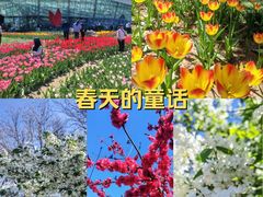 -石家庄市植物园