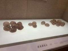 -信阳博物馆