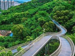 -福道