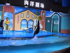 -重庆欢乐海底世界