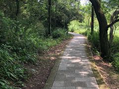 -窦圌山风景区