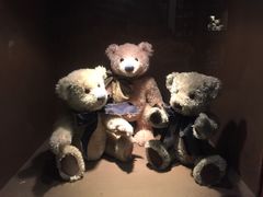 -济州岛泰迪熊博物馆