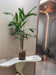 -杜卡诗salon