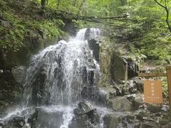 -本溪汤沟绿石谷森林公园