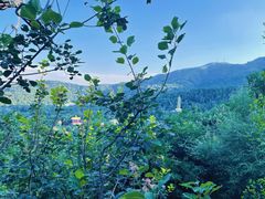 -香山公园