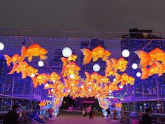 -海合安成都极地海洋公园
