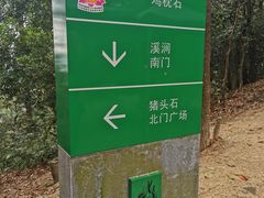 -火炉山森林公园