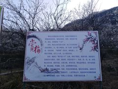 -广州市流溪河国家森林公园