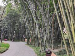 -望江楼公园