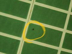 -海友酒店(上海静安寺店)