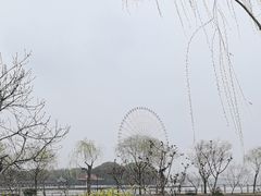 -无锡蠡湖国家湿地公园-蠡园