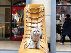 -王府井奥莱临潼小镇(临潼店)