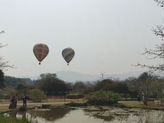 -中国科学院西双版纳热带植物园