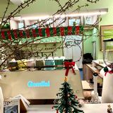 惠州！找到了超适合忙里偷闲的咖啡店☕️