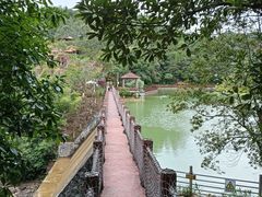 -广州白江湖森林公园