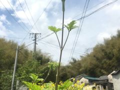 -会稽山峡洞漂流-上青古道
