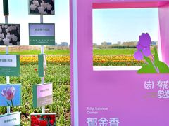 -青岛胶东国际机场