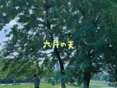 -羊山湖公园
