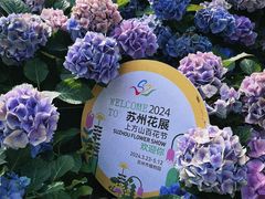 -苏州上方山国家森林公园