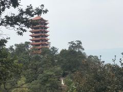 -缙云山景区