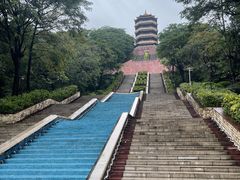 -福神岗公园