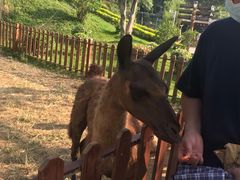 -泉州海丝野生动物世界