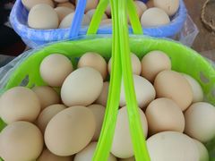 -大自然农场蔬菜草莓采摘园